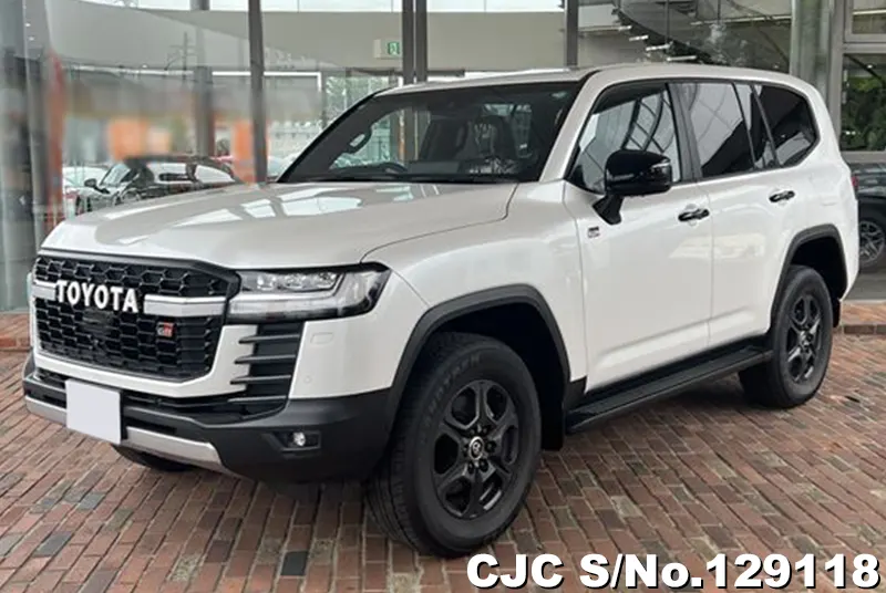 Toyota / Land Cruiser 2024